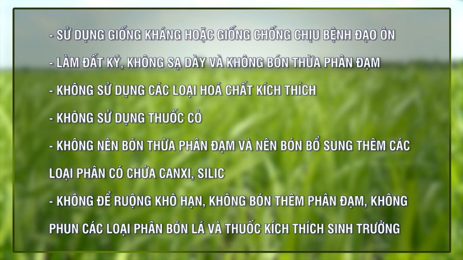 Thoi Tiet Nong Vu Toi 20 09 2020.00 02 22 10.still003