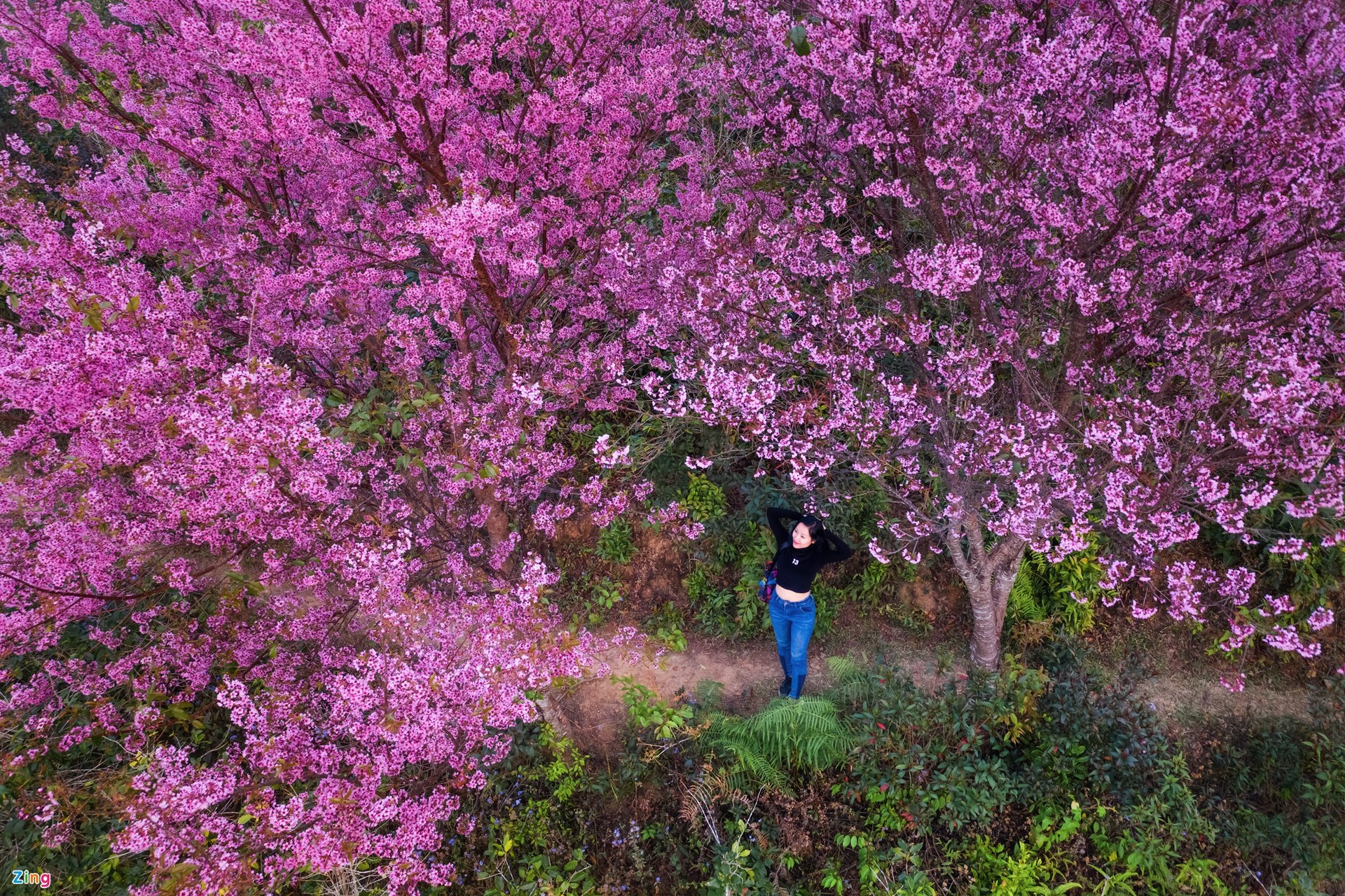 Mai Anh Dao Mang Den Ivivu 1 2