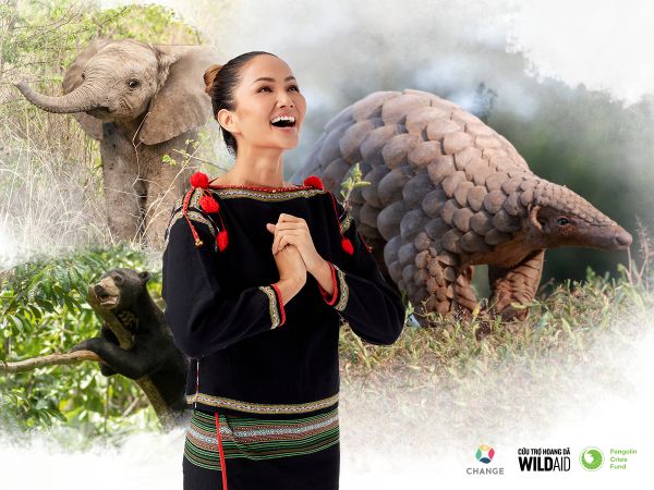Đại Diện Hoa Hậu Hhen Niê