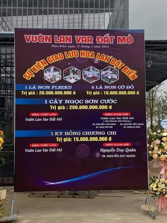 Mua Ban Lan Var Gan 290 Ty Dong 1