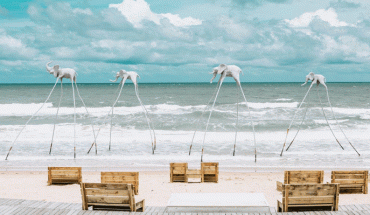 Tour Phu Quoc 3n2d Ivivu 6 370x215 1