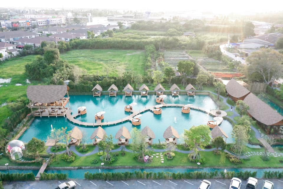 Bubble In The Forest Ivivu 8 2