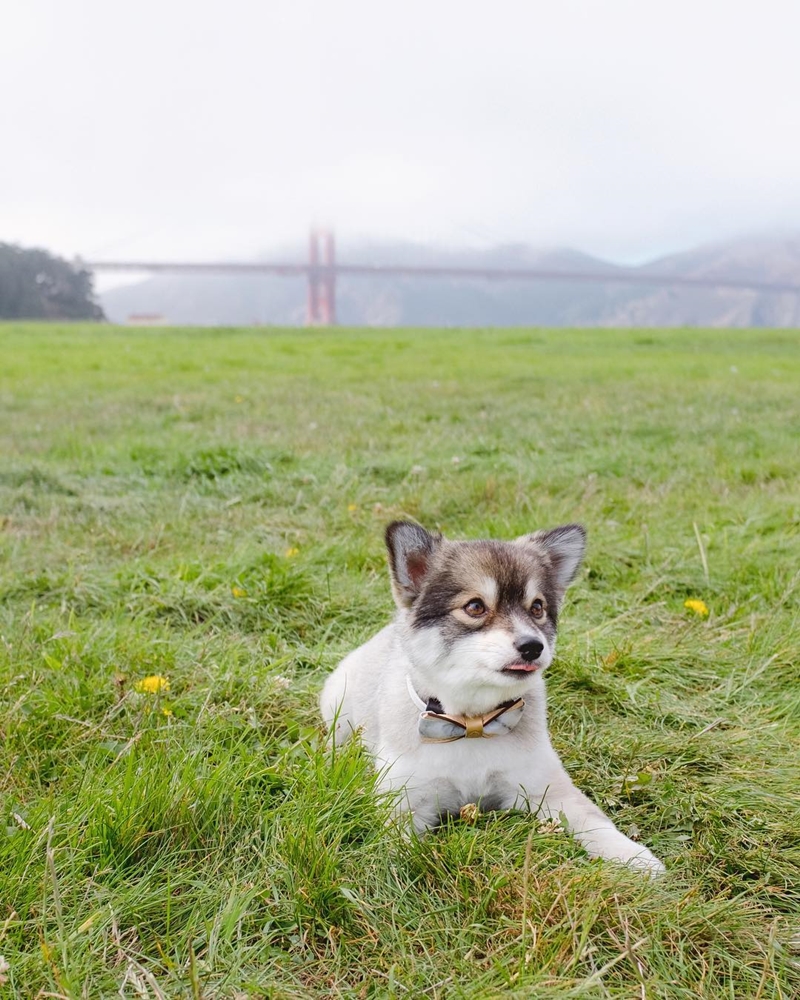 Yuki Chu Cho Lai 2 Dong Mau Ivivu 0 2