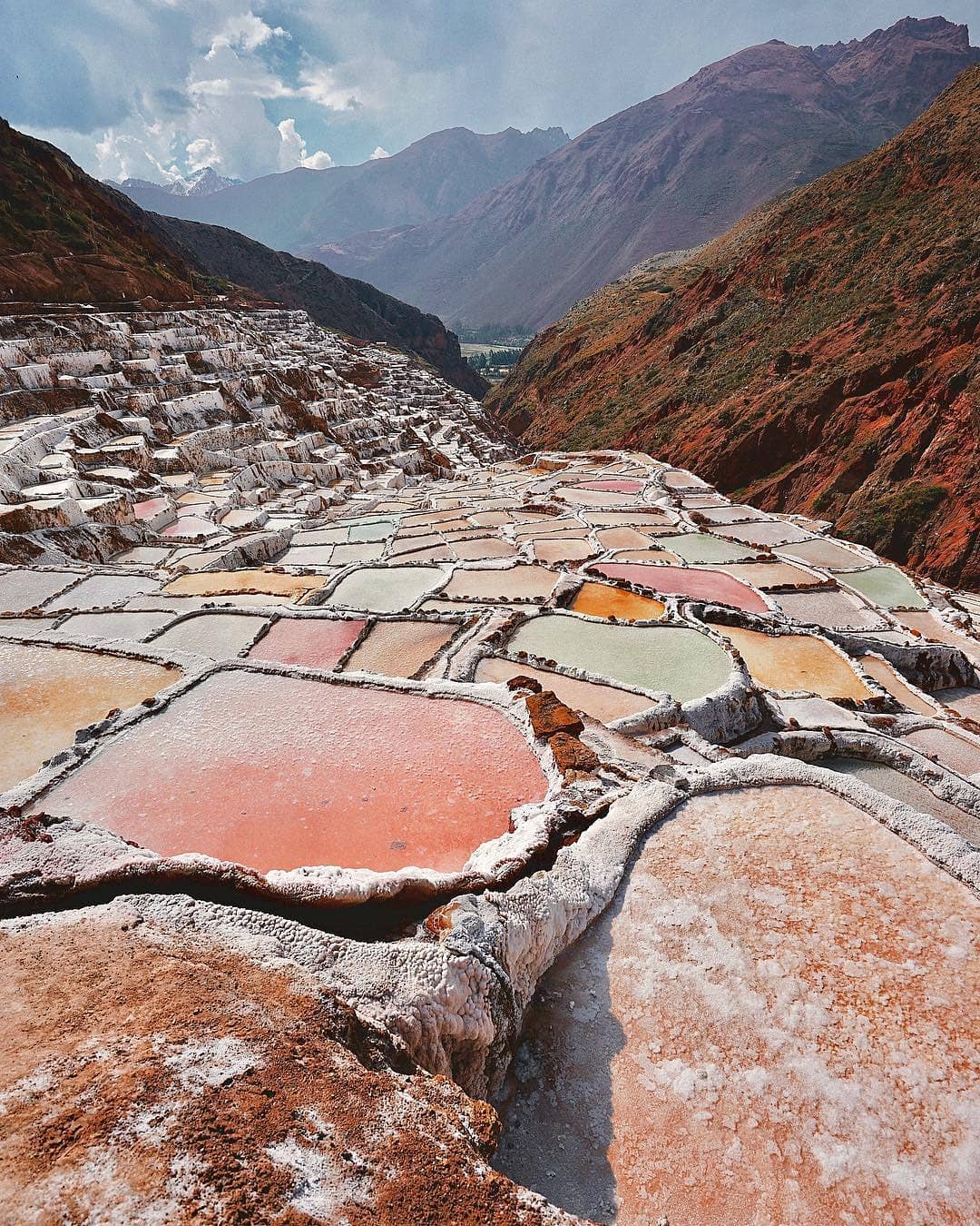 Canh Dong Muoi Maras Ivivu 2 2