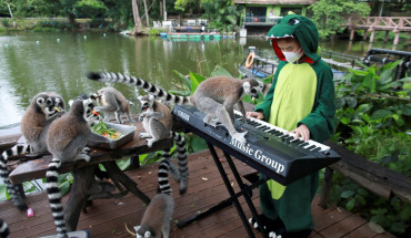 Co Be 11 Tuoi Choi Dan Tai So Thu Khao Kheow Open Zoo Ivivu 2 370x215 1