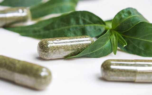 Xx 1627186841331330628478 0 41 349 599 Crop 1627186848403929906314 1