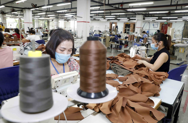 Vnapotalcongtytnhhmaxportlimitedvietnamondinhvieclamchohon5600laodong5559808 1628742611448710545080 1