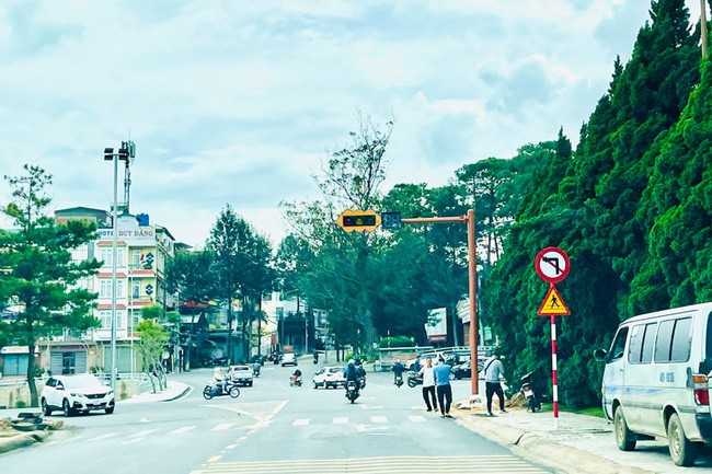 Da Lat 2 16334303527002110014840 1