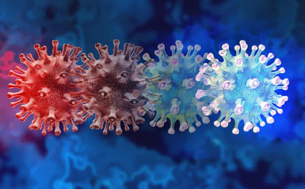 Photo1637807190500 163780719093384700901 1