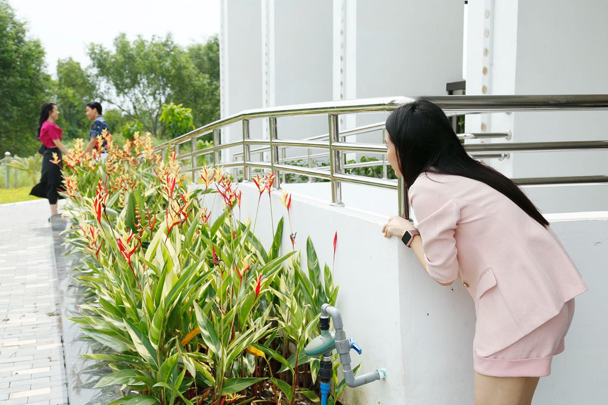 Vu Ngoc Anh 1 1