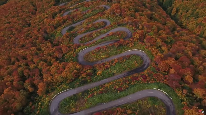 Duong Deo 8246 18411453 2