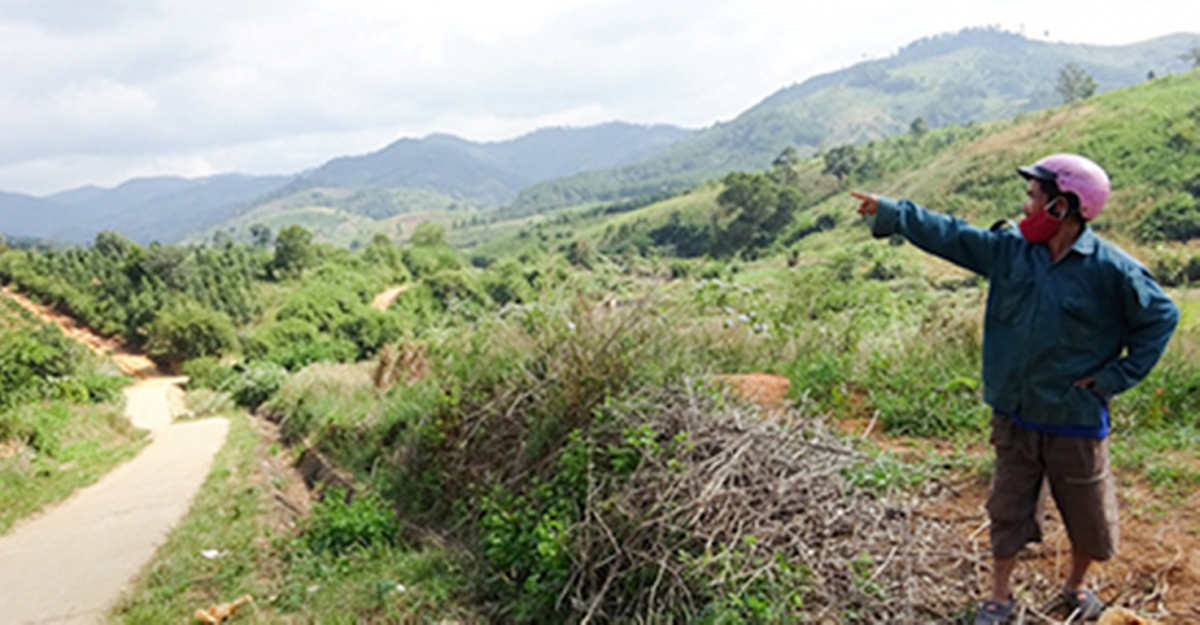 Hinhdatbohoang Lgqv 1