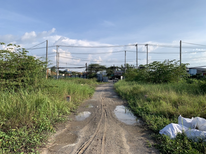 Luu Ban Nhap Tu Dong 106 1