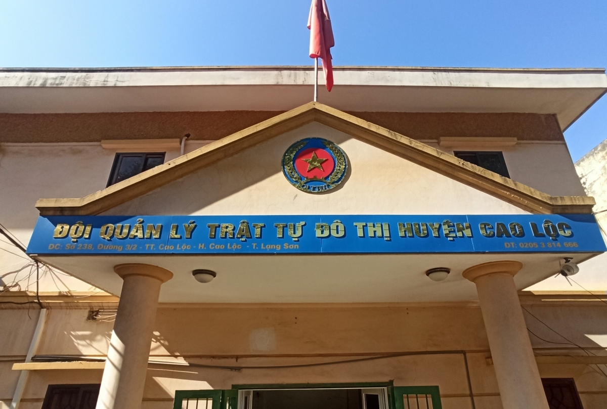 Luu Ban Nhap Tu Dong 195 1