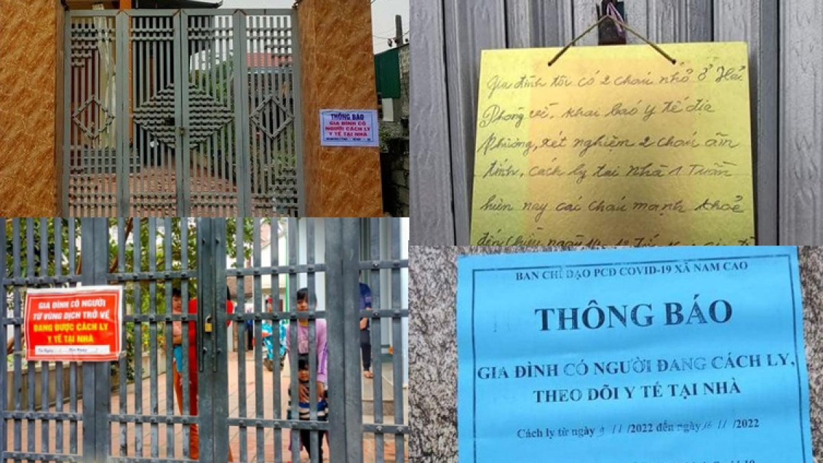 Luu Ban Nhap Tu Dong 244 1