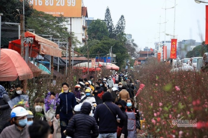 Luu Ban Nhap Tu Dong 483 1