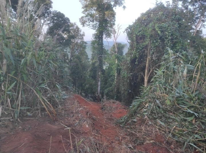 Luu Ban Nhap Tu Dong 121 1
