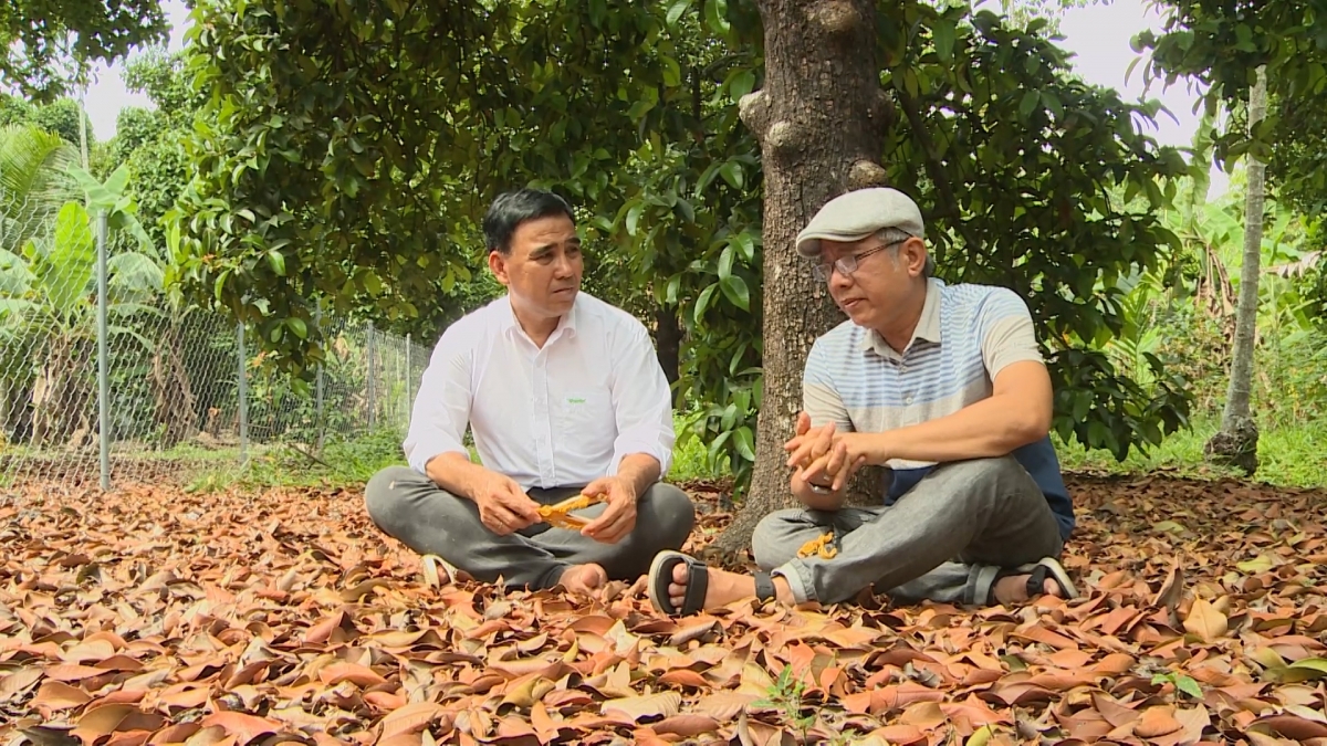 Luu Ban Nhap Tu Dong 366 1