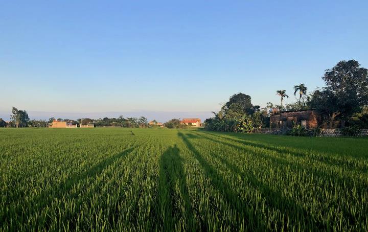 Luu Ban Nhap Tu Dong 26 1