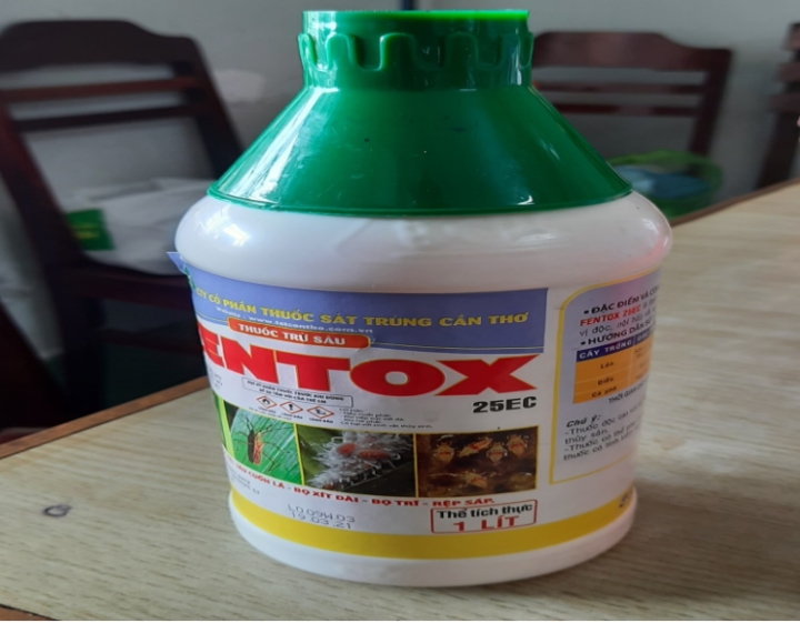 Luu Ban Nhap Tu Dong 58 1