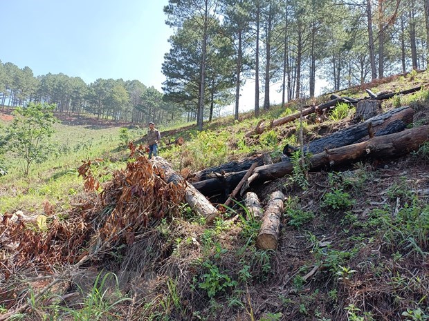 Luu Ban Nhap Tu Dong 391 1