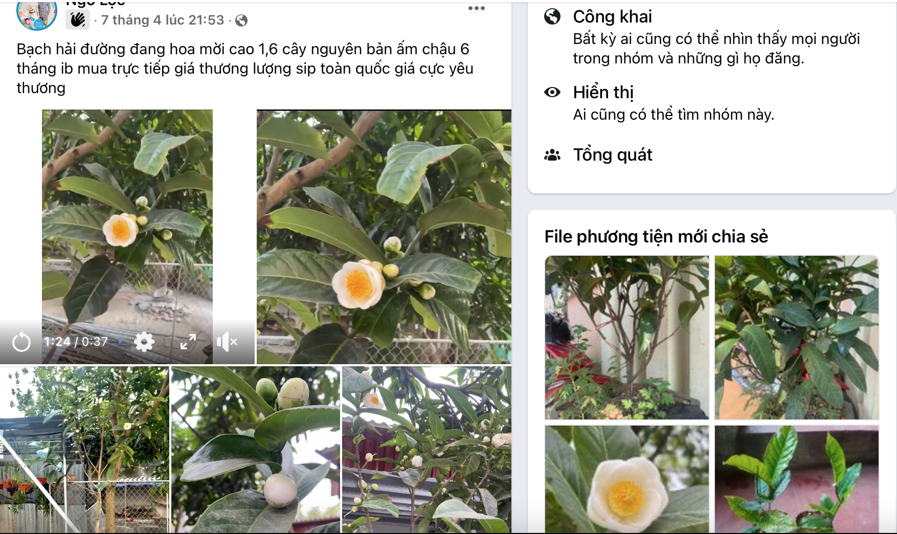 Luu Ban Nhap Tu Dong 41 1