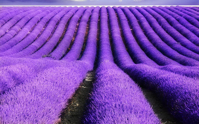 Luu Ban Nhap Tu Dong 60 1