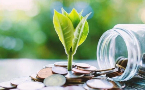 1e488179 8a08 4363 Be99 A2547fa13bd0 1