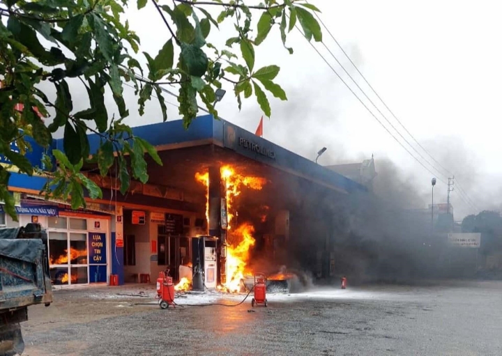 Luu Ban Nhap Tu Dong 269 1