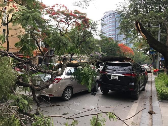 Luu Ban Nhap Tu Dong 30 1
