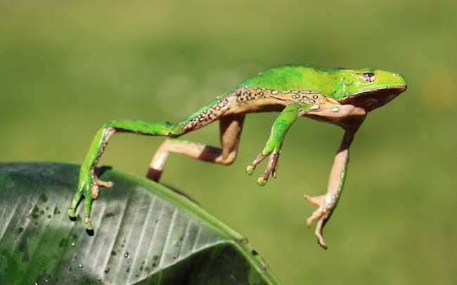 Luu Ban Nhap Tu Dong 402 1