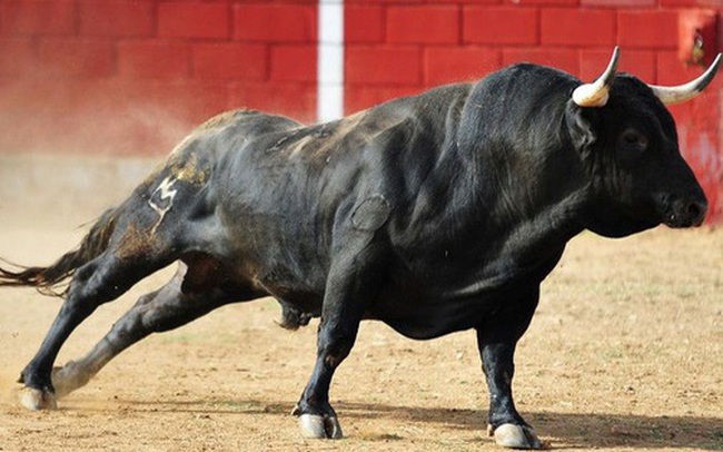 Luu Ban Nhap Tu Dong 421 1