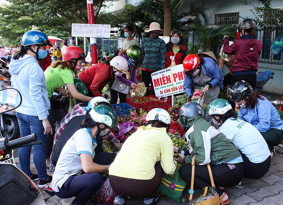 Luu Ban Nhap Tu Dong 510 1