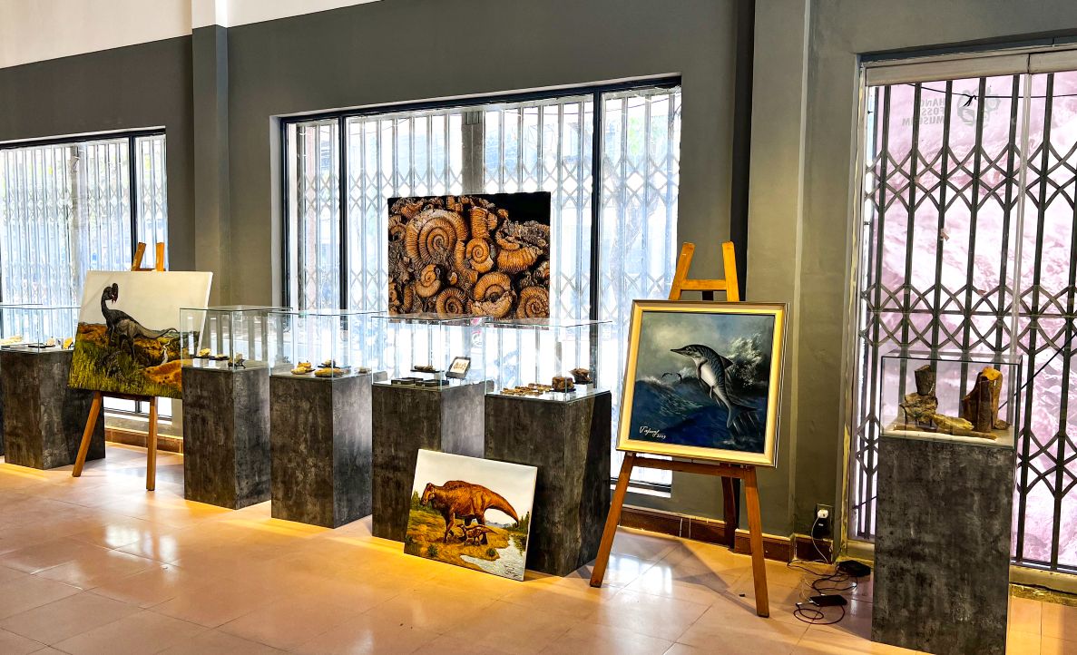 Triển Lãm Hóa Thạch 2 1