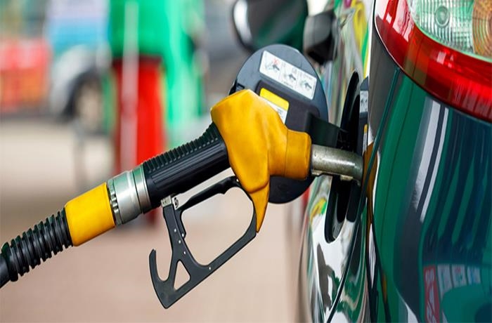 Luu Ban Nhap Tu Dong 237 1