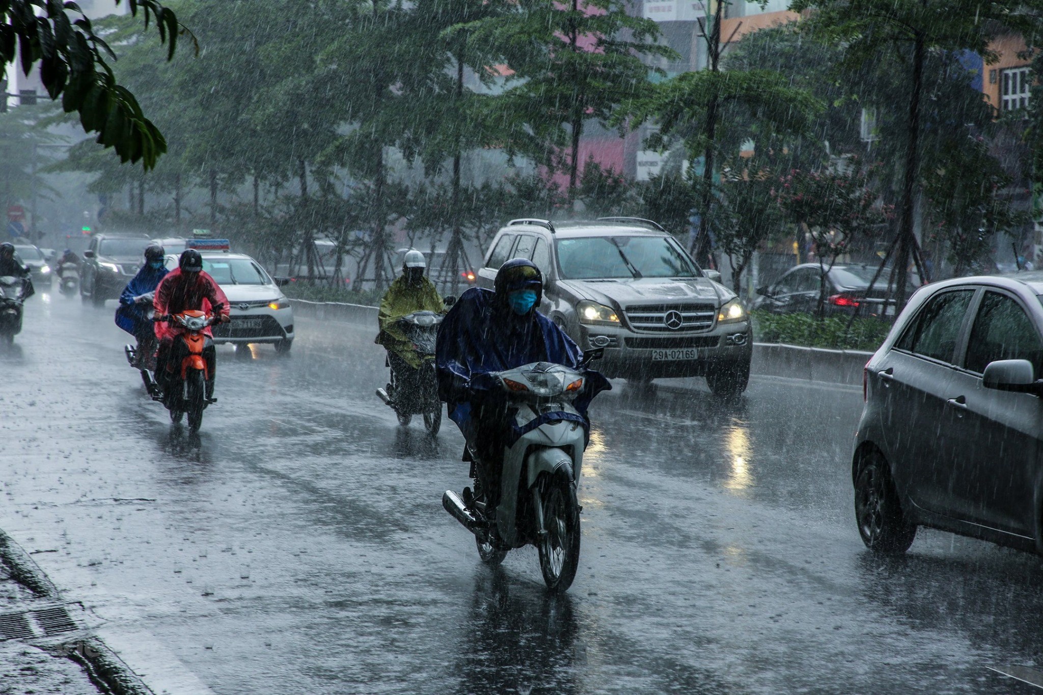 Luu Ban Nhap Tu Dong 423 1