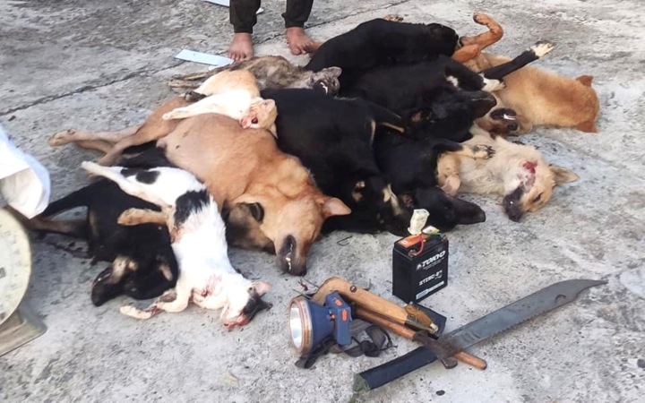 Luu Ban Nhap Tu Dong 49 1