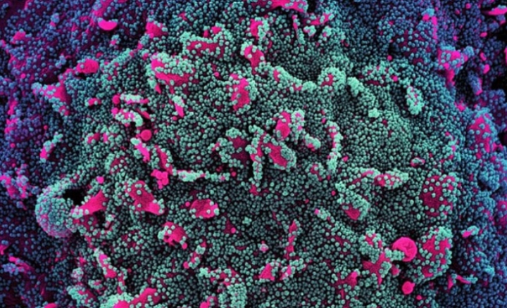 Luu Ban Nhap Tu Dong 66 1