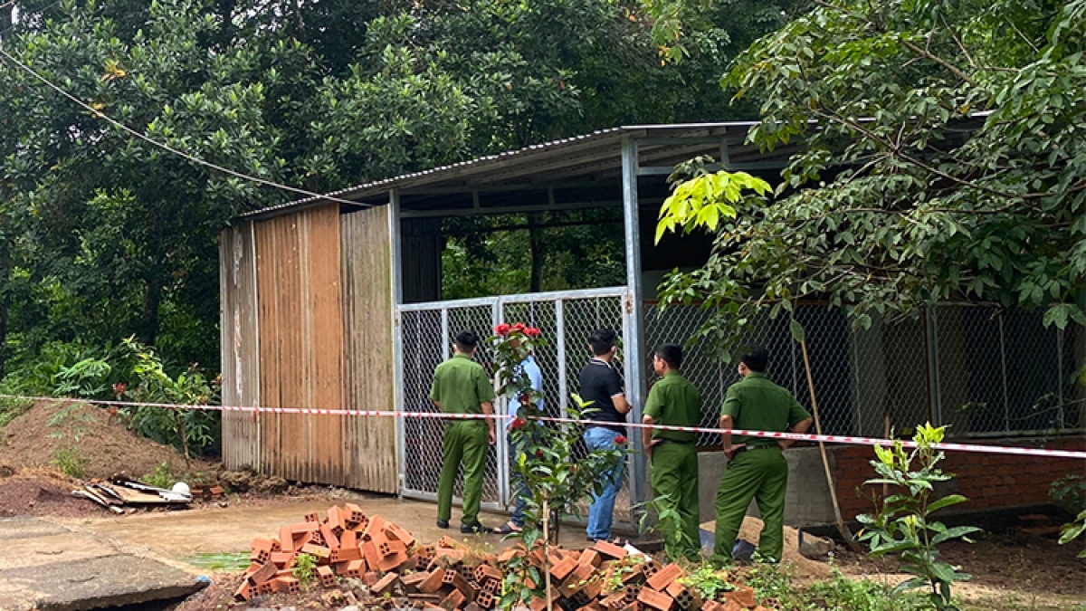 Luu Ban Nhap Tu Dong 131 1