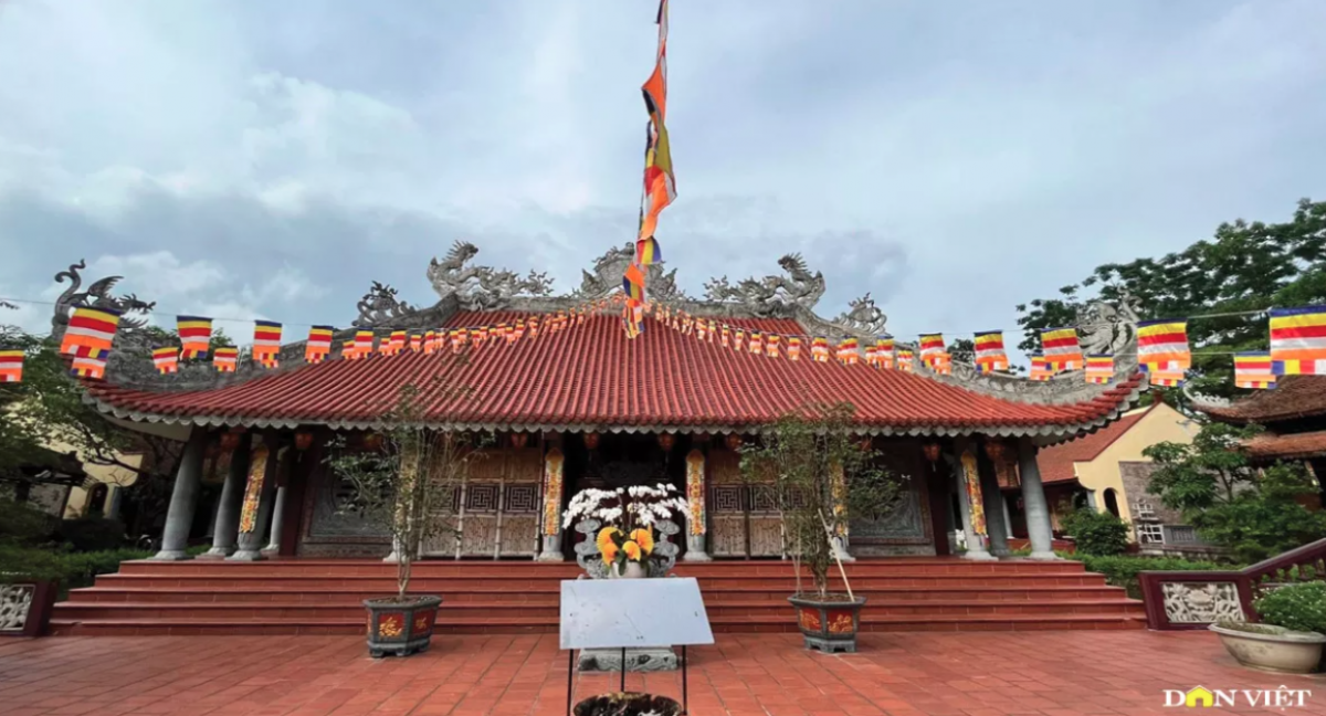 Luu Ban Nhap Tu Dong 22 1