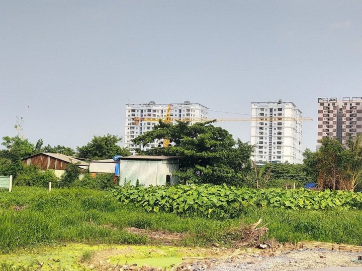 Luu Ban Nhap Tu Dong 247 1