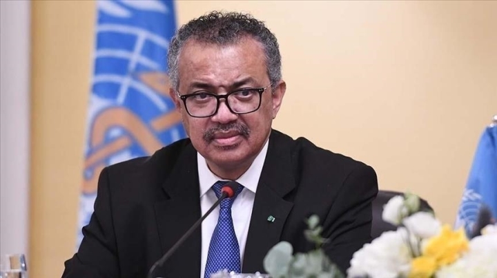 Luu Ban Nhap Tu Dong 288 1