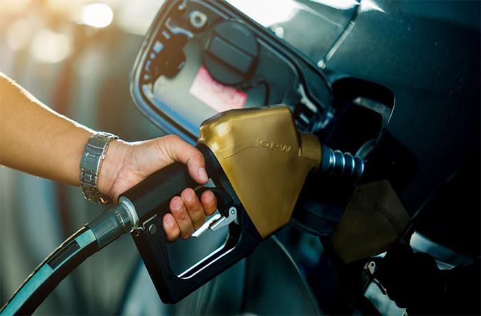 Luu Ban Nhap Tu Dong 81 1