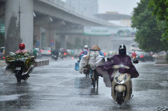Luu Ban Nhap Tu Dong 88 3