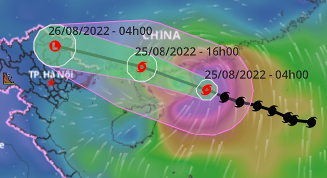 Luu Ban Nhap Tu Dong 224 1