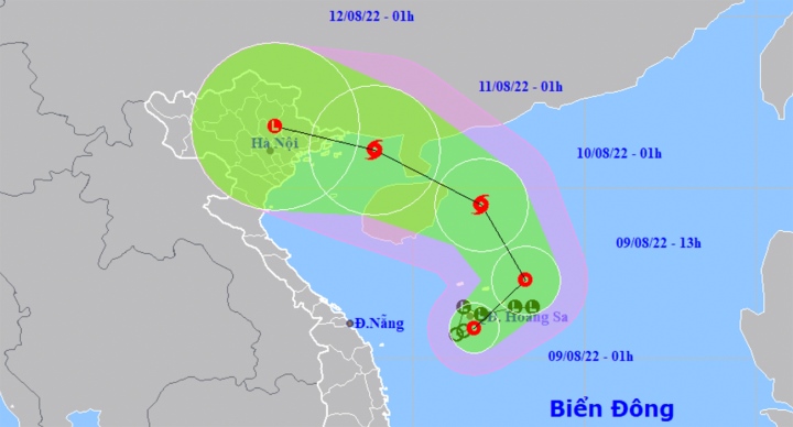 Luu Ban Nhap Tu Dong 86 1