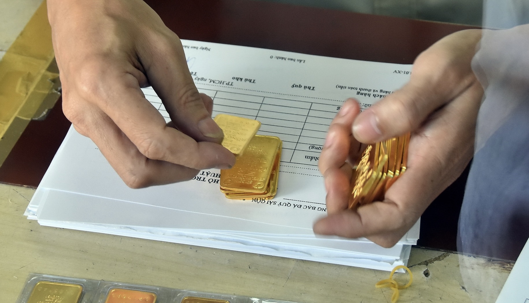 Dsc9551 16551055711351284006565 1