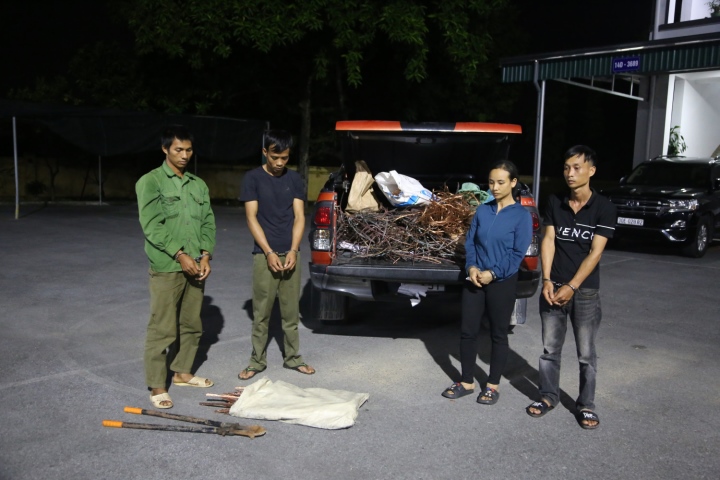 Luu Ban Nhap Tu Dong 166 1