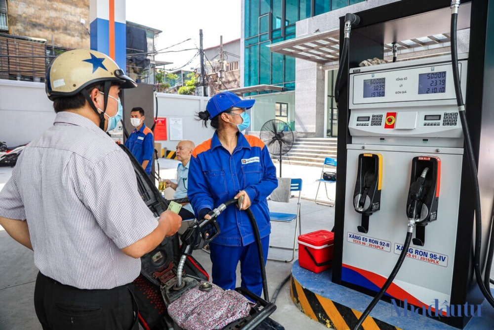 Luu Ban Nhap Tu Dong 207 2