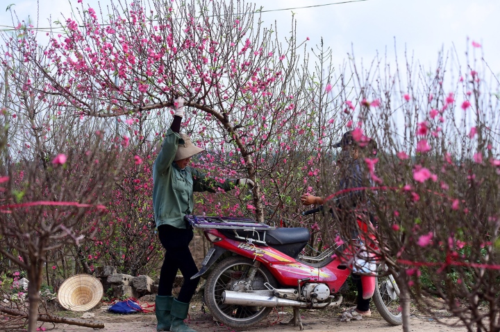 Luu Ban Nhap Tu Dong 65 1